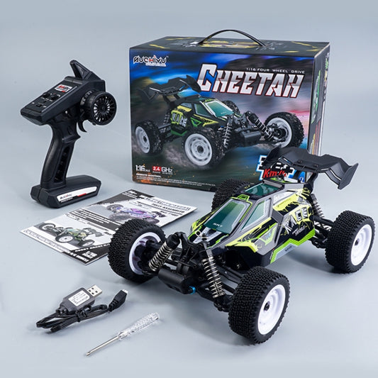 SCY-16201 2.4G 1:16 Electric 4WD RC Racing Off-road Vehicle Car Toy (Green) by bashfashion
