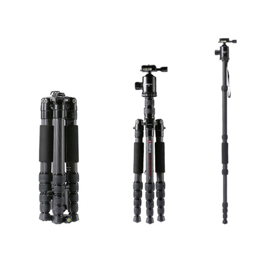 TRIOPO T259G+Q2 Adjustable Portable Carbon Fiber Tripod with Q-2 Ball Head for SLR Camera by TRIOPO