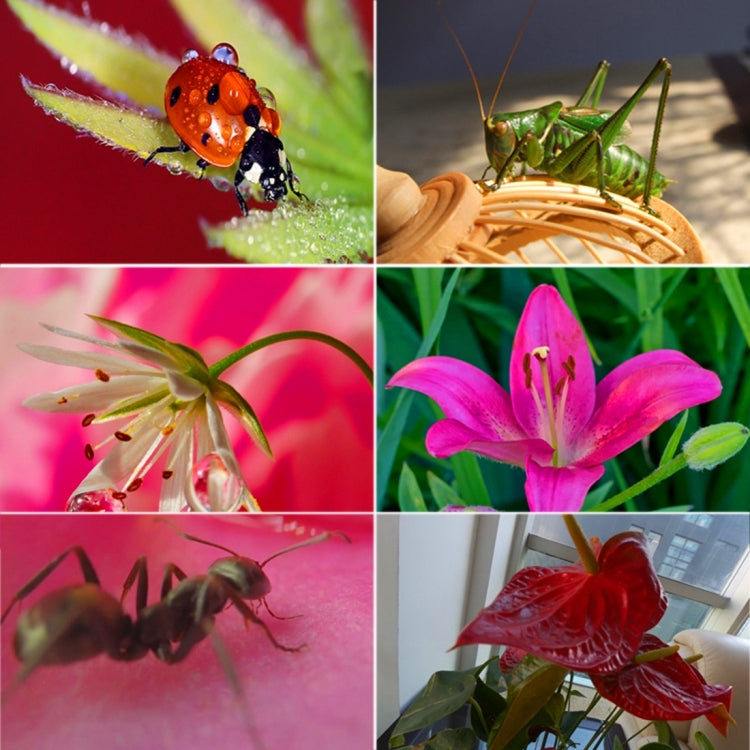 For GoPro HERO5 Sport Action Camera Professional 58mm 16X Macro Lens Close-up Filter with Lens Base & Adapter Ring & Lens Protective Cap & Anti-lost Hand Strap & Cleaning Cloth by bashfashion