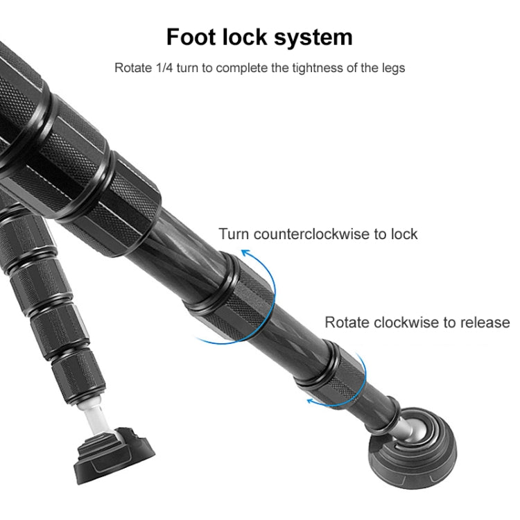 BEXIN P335C Camera Carbon Fiber Monopod Travel Live Selfie Bracket Holder by BEXIN