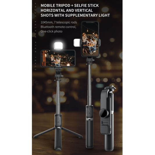 EDA001741301_B1.jpg@e099854f1d7c7b791a268fdfa2da038e