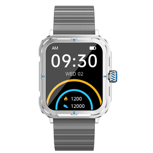 D09 1.9 inch TFT Square Screen Smart Watch Supports Blood Pressure Monitoring(Blue) by bashfashion