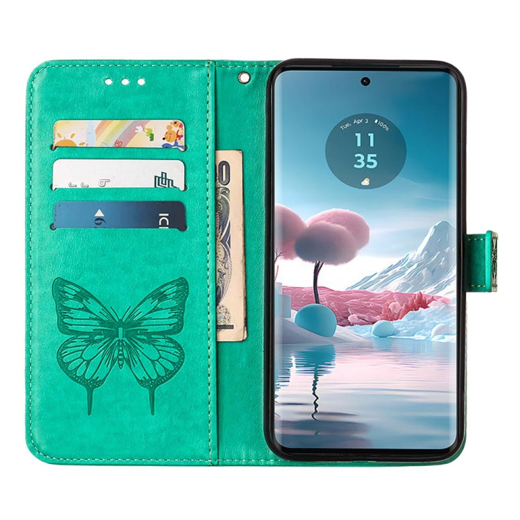 EDA005821405D_4.jpg@4bdc4728585cb3024a592b0fb032ec49