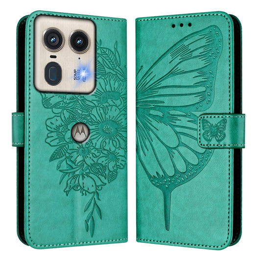 EDA005821421D_1.jpg@b7aa324c9df9595af99c49364d7cce22