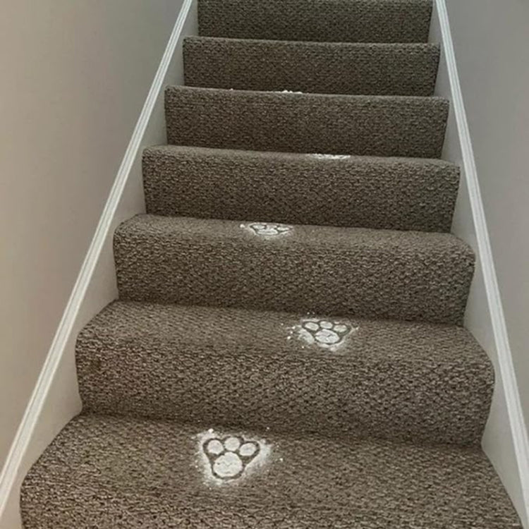 Acrylic Easter Bunny Footprint Template, Style:Single Footprint by bashfashion