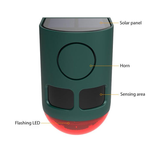 EDA008589601A_1.jpg@642dc5fbe0a7e327bf081cb9f1192716