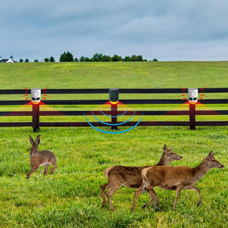 EDA008589601A_8.jpg@33e7febc9bd90b801f1c8c0b4ae765ae