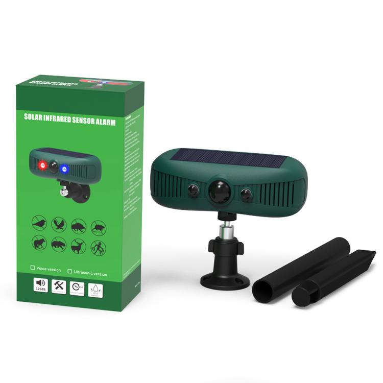 EDA0085924_8.jpg@baf6447de70079c86d6071290c7447b1