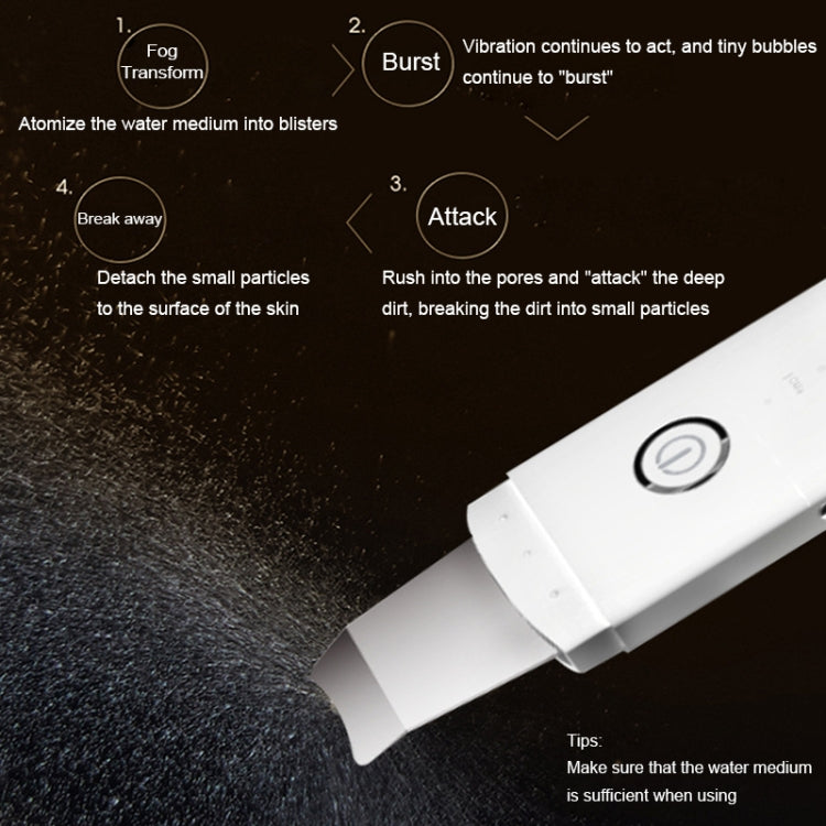 YJK063 Ultrasonic Ion Cleanser Micro-current Massage Beauty Introduction Instrument (Silver) by bashfashion