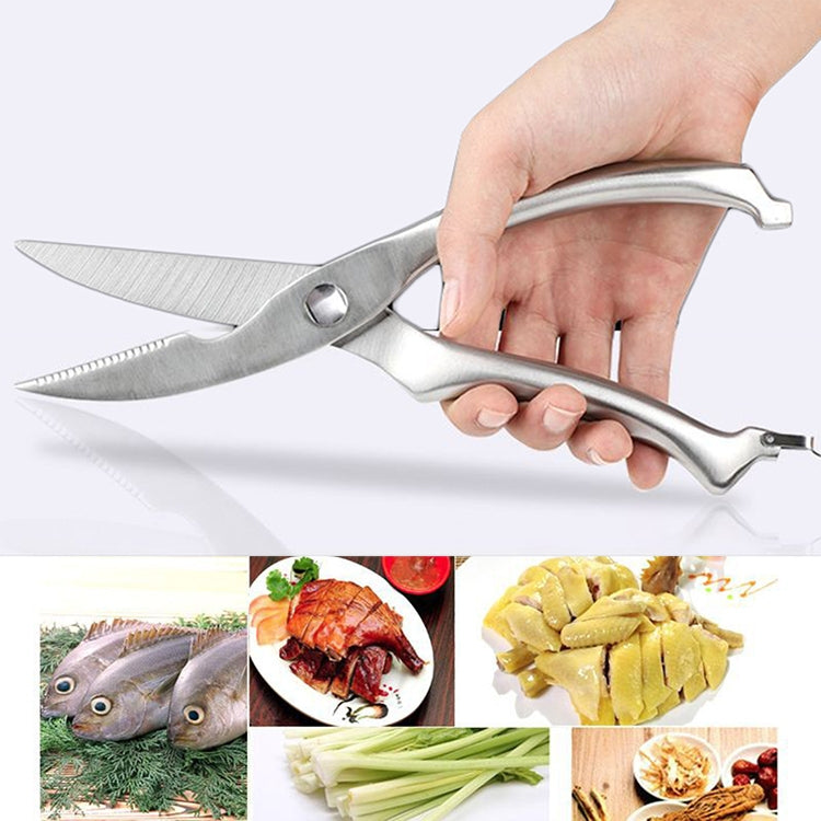 10 inch Kitchen Poultry Fish Chicken Bone Stainless Steel Cutter Cook Gadget Shear, Gift Box Package by bashfashion