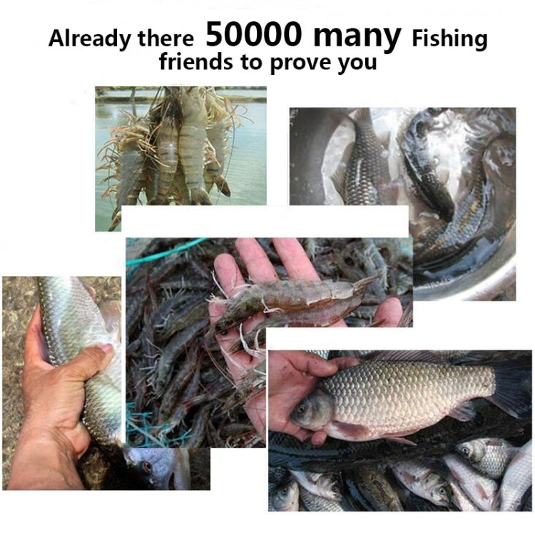 12 Holes Automatic Foldable Fishing Net Nylon Shrimp Crab Minnow Trap Fish Cast Net Fishing Tackle by bashfashion