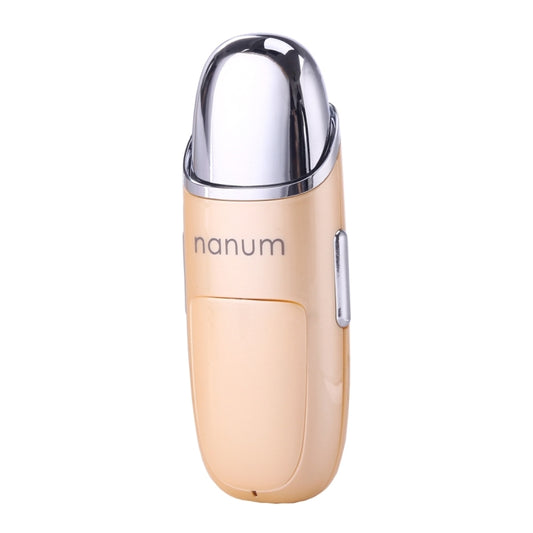 Nanum Facial Beauty Hydrating Massager Mini Skin Care Water Spraying Misting Humidifier / Automatic Alcohol Sprayer(Gold) by bashfashion