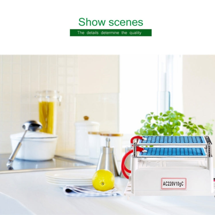 High Temperature Ceramic Plate Integrated Ozone Generator 220V 10g Air Purifier by bashfashion