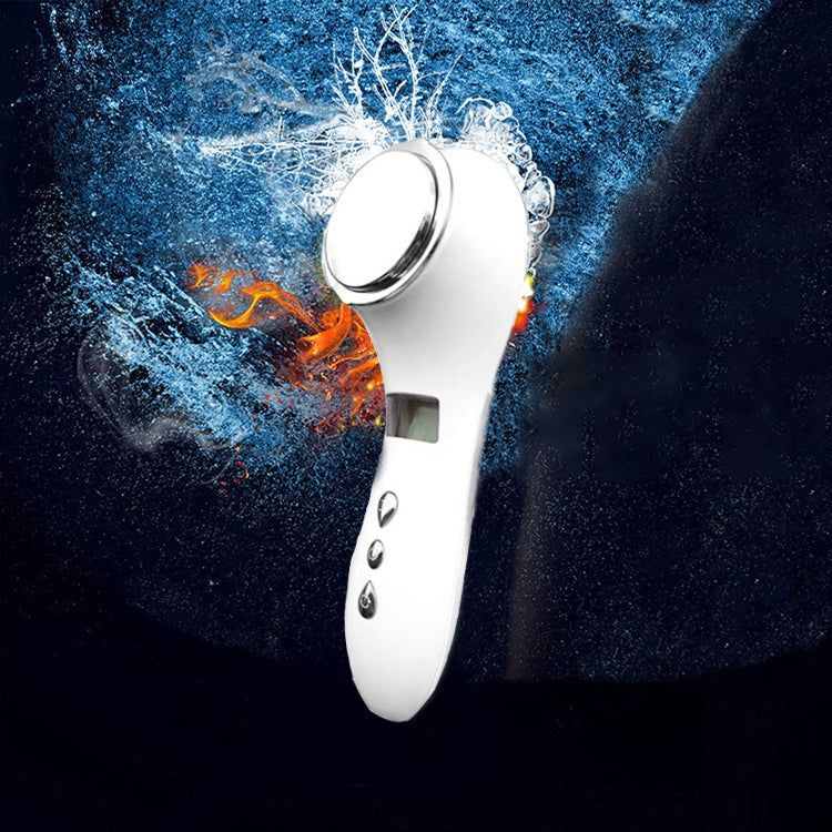 Multi-functional Household Beauty and Body Apparatus Facial Ion Importer (White) by bashfashion