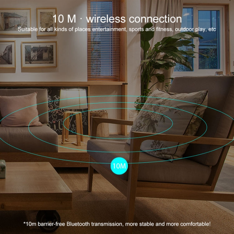 V10 Wireless Bluetooth V5.0 Sport Headphone without Charging Box, CSR Chip, Support Voice Reception&10 Minutes Fast Charging(Black) by bashfashion