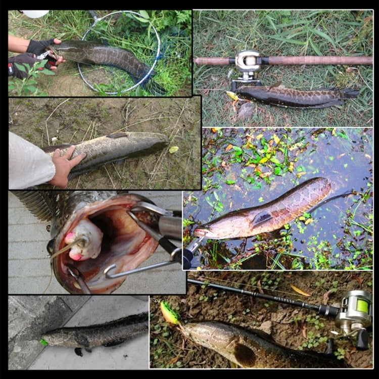 HENGJIA 1# 8cm Plastic Hard Baits Squid Fishing Lures Decoy Wood Shrimp Baits (Magenta+Dark Red) by HENGJIA