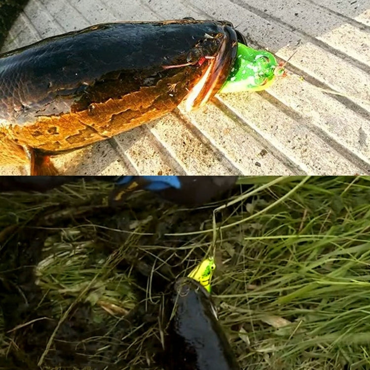 HENGJIA 5 PCS Soft Baits Water-hit Fishing Lures Ray Frog Baits with Plastic Box by HENGJIA