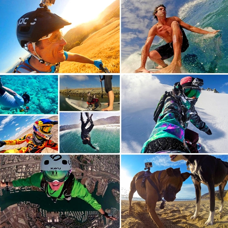 PULUZ Waterproof Carrying and Travel Case for GoPro, Insta360, DJI and Other Action Cameras Accessories, Large Size: 32cm x 22cm x 7cm by PULUZ