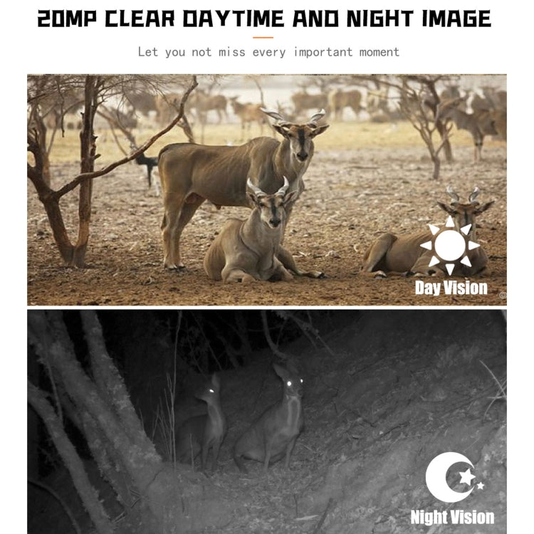 PR700 1080P Wildlife Hunting Camera Motion Activated Night Vision Camcorder for Outdoor Tracking Scan Trigger by bashfashion