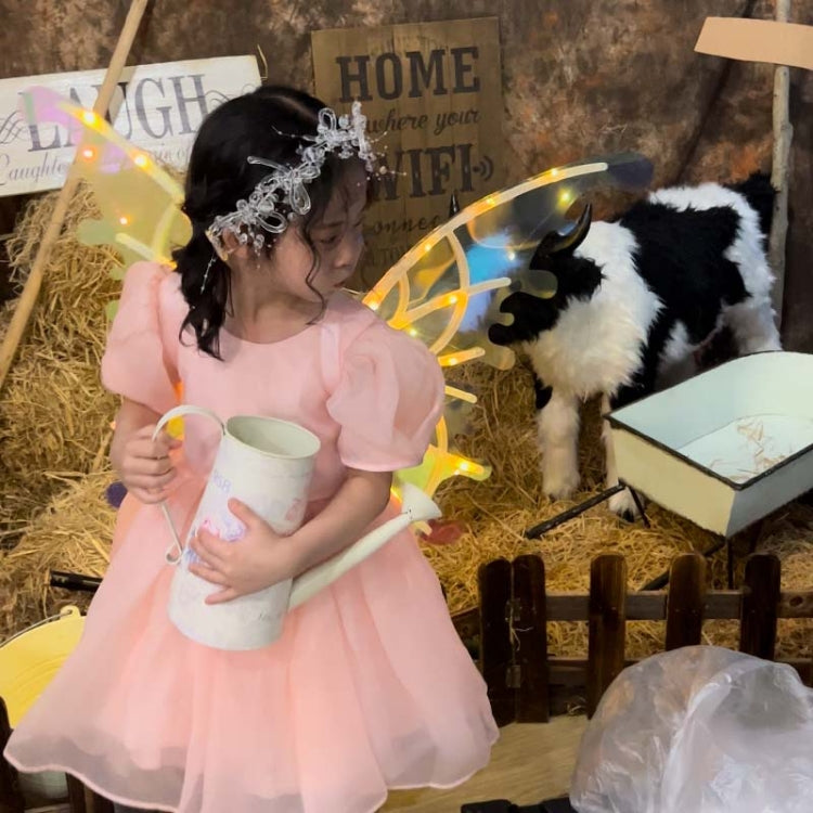 Rockwoo R01 DIY Electric Butterfly Elf Wings Toy With Light by bashfashion