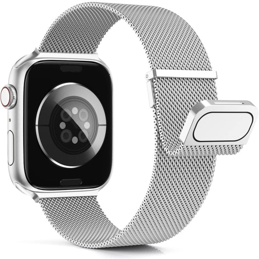 For Apple Watch 8 45mm Milan Double Magnetic Steel Mesh Watch Band(Silver) by bashfashion