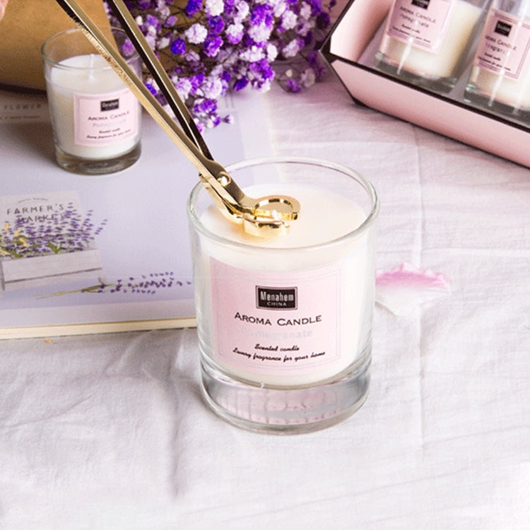 Stainless Steel Candle Wick Trimmer Candle Scissors Cutter by bashfashion