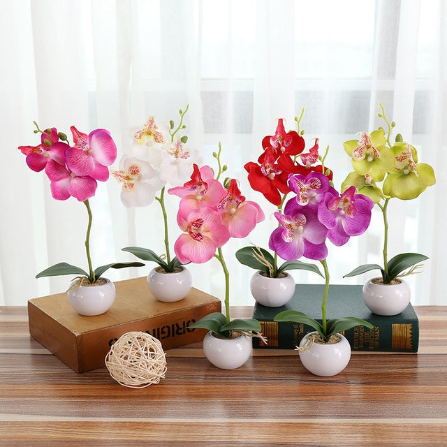 Decorative Landscaping Round Pot Three Flowers Phalaenopsis Bonsai Simulation Potted Plants(Rose Red) by bashfashion