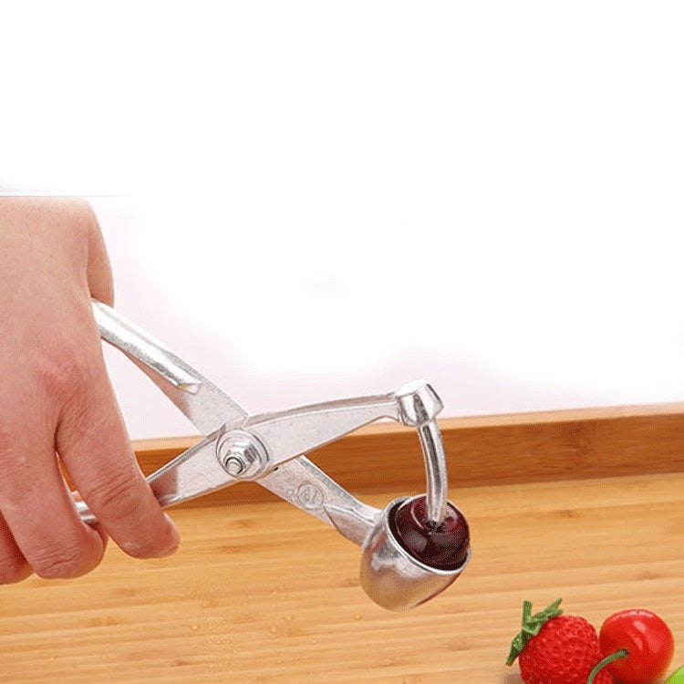 Fruit Aluminum Alloy Corer Cherry Nucleator by bashfashion
