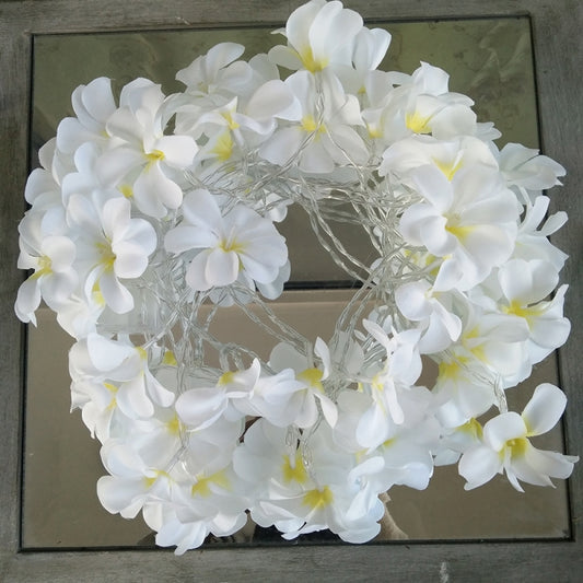 1.5m 10 LEDs Battery Powered Warm White Creative DIY Frangipani LED String Lights Floral Holiday Lighting Event Party Garland Bedroom Decoration by bashfashion