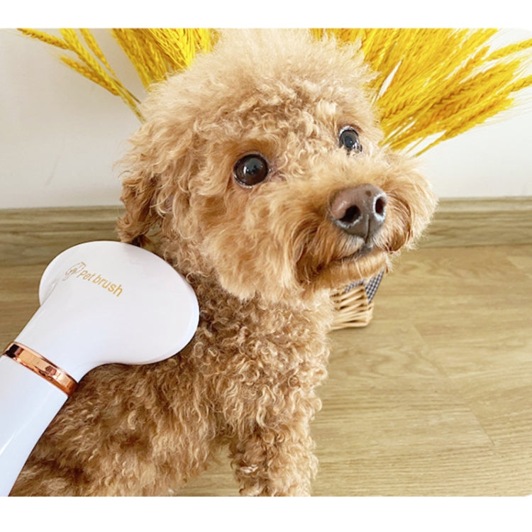 Pet Hair Dryer Cat & Dog Cleaning Electric Comb, Specification:US Plug(Green) by bashfashion