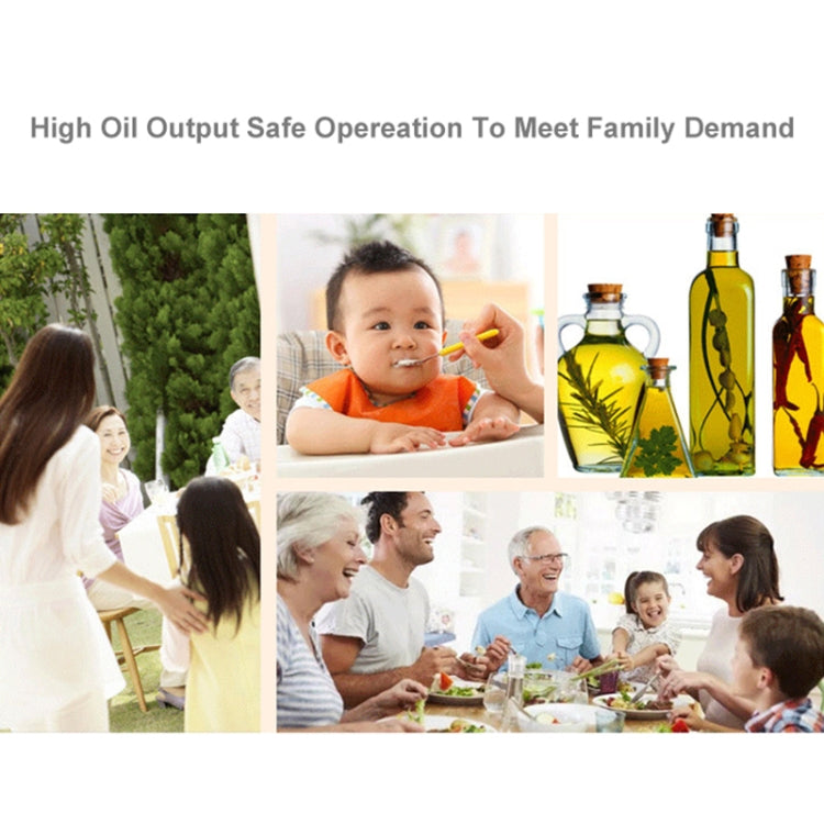 Manual Peanut Nuts Seeds Oil Press Expeller Oil Extractor Machine(Silver) by bashfashion