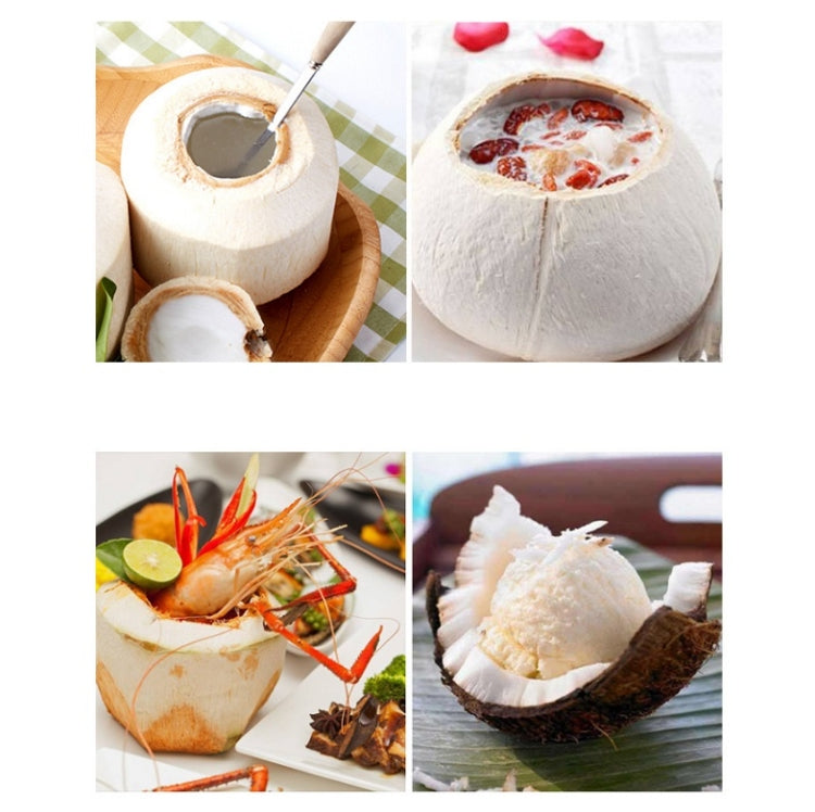 2 in 1 304 Stainless Steel Coconut Opener Tool Coconut Shell Shaving Tool Set by bashfashion