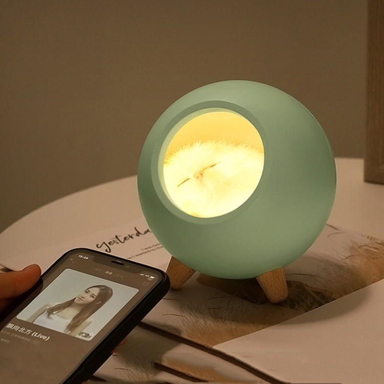Pet Housing Bluetooth Nightlight Rechargeable Little Cat Desktop Night Light(Green) by bashfashion