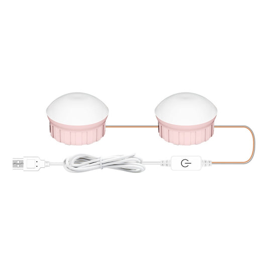 2 LEDs Cosmetic Room Bathroom Mirror Front Light USB Three-Color Dimming Light by bashfashion