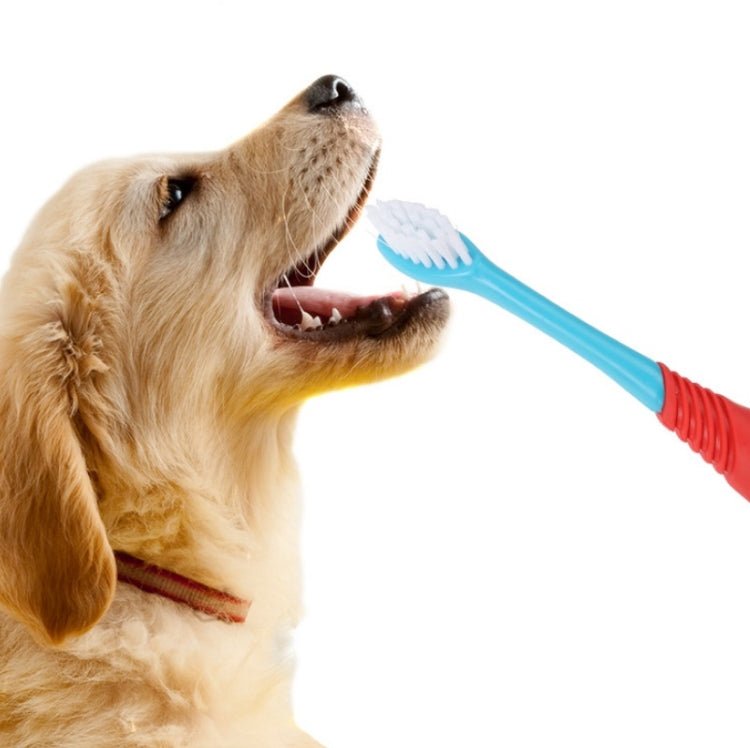 Pet Double-Head Toothbrush Pet Oral Cleaning Products(Blue) by bashfashion