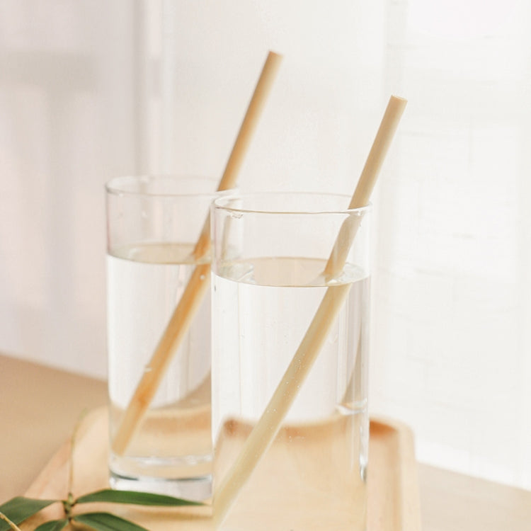 10 PCS Juice Coffee Pearl Milk Tea Natural Degradable Bamboo Straw, Style: 20cm Oblique by bashfashion