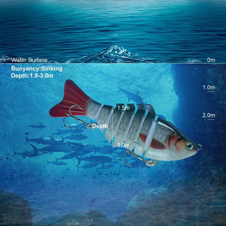 PROBEROS HS066 10cm 15.5g Sea Fishing Simulation Road Sub-Bait(B) by bashfashion