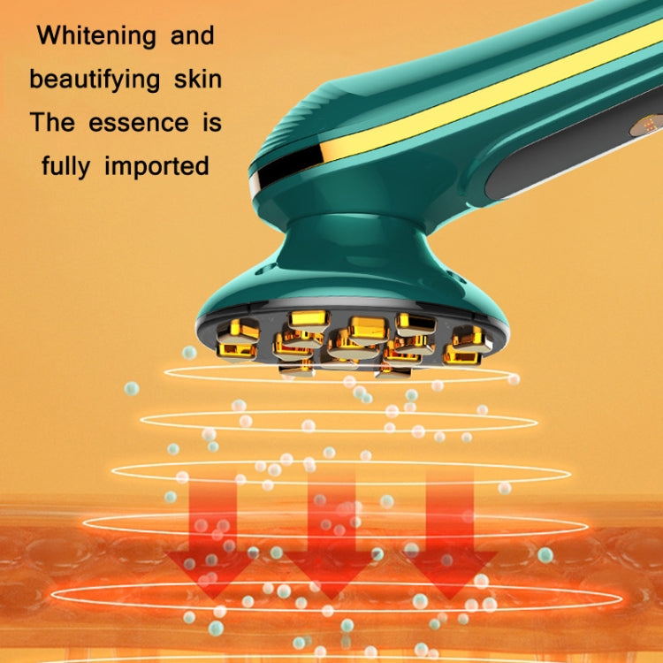 Beemyi DY-104 Facial Thermal Maggie RF Radio Frequency Imported Beauty Apparatus(Ink Green) by Beemyi