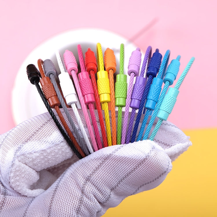 20 PCS Colorful Paint Steel Wire Rope Car Key Ring DIY Accessories(Color Random Delivery) by bashfashion