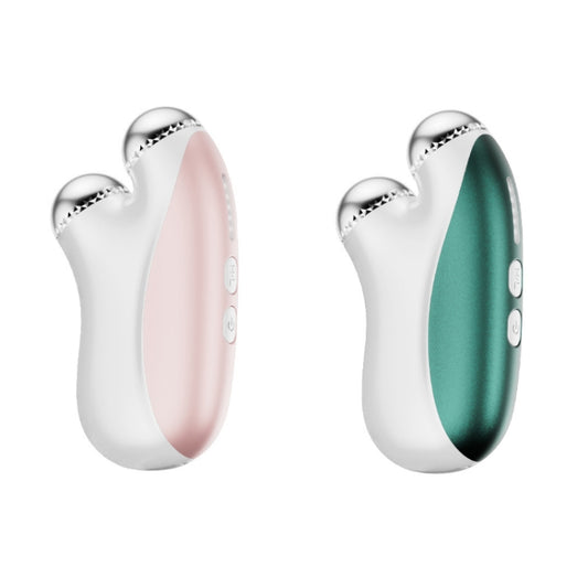 Home RF Microcurrent Essence Import Beauty Instrument(Pink) by bashfashion