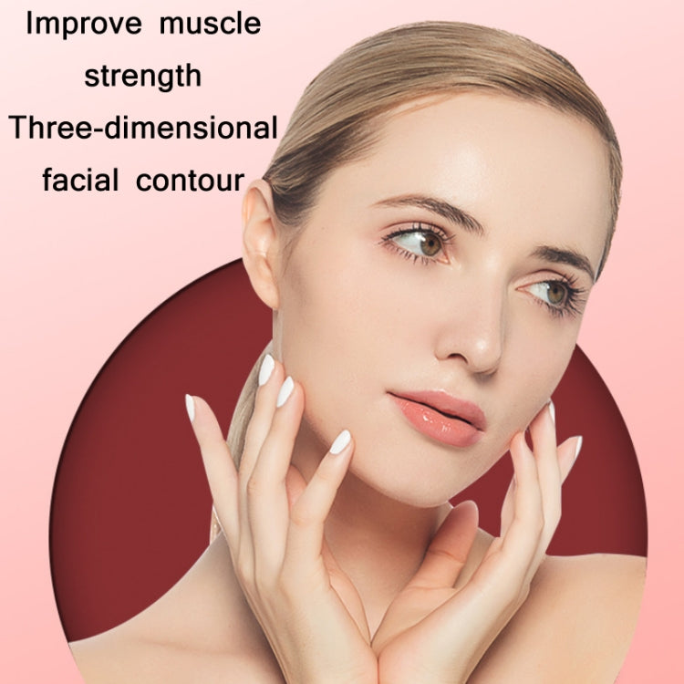 Home RF Microcurrent Essence Import Beauty Instrument(Green) by bashfashion