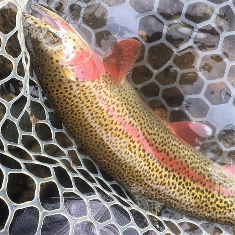 Transparent Soft Rubber Fishing Net Replacement Bag, Size: Large 120cm by bashfashion