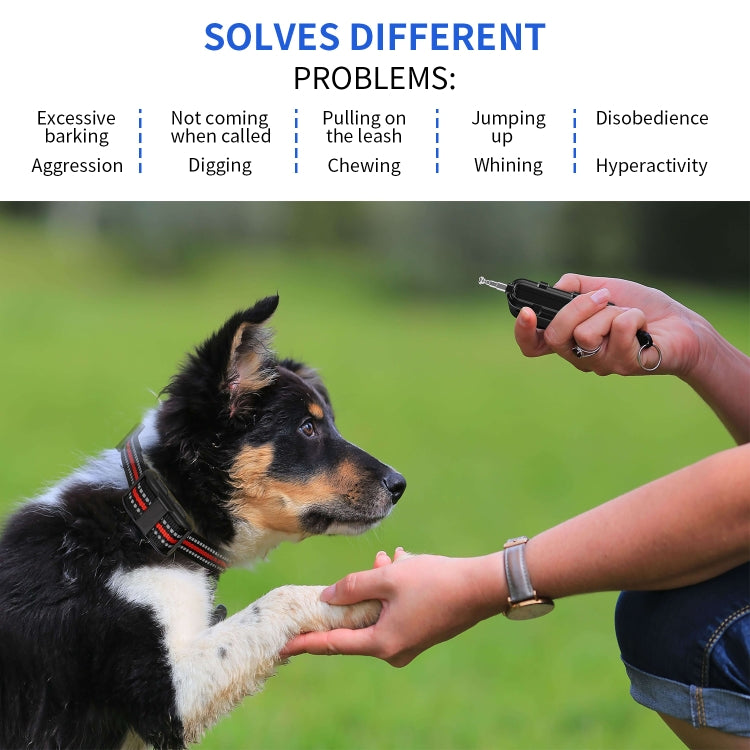 Electronic Dog Trainer Rechargeable Pet Remote Control Bark Stopper, Specification: 1 Drag 1 Orange by bashfashion