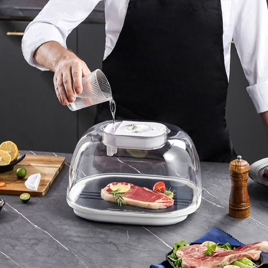 Frozen Food Quick Thaw Tray Thaw Plate(Gray) by bashfashion