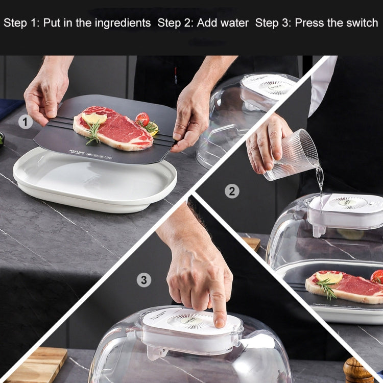 Frozen Food Quick Thaw Tray Thaw Plate(Golden) by bashfashion