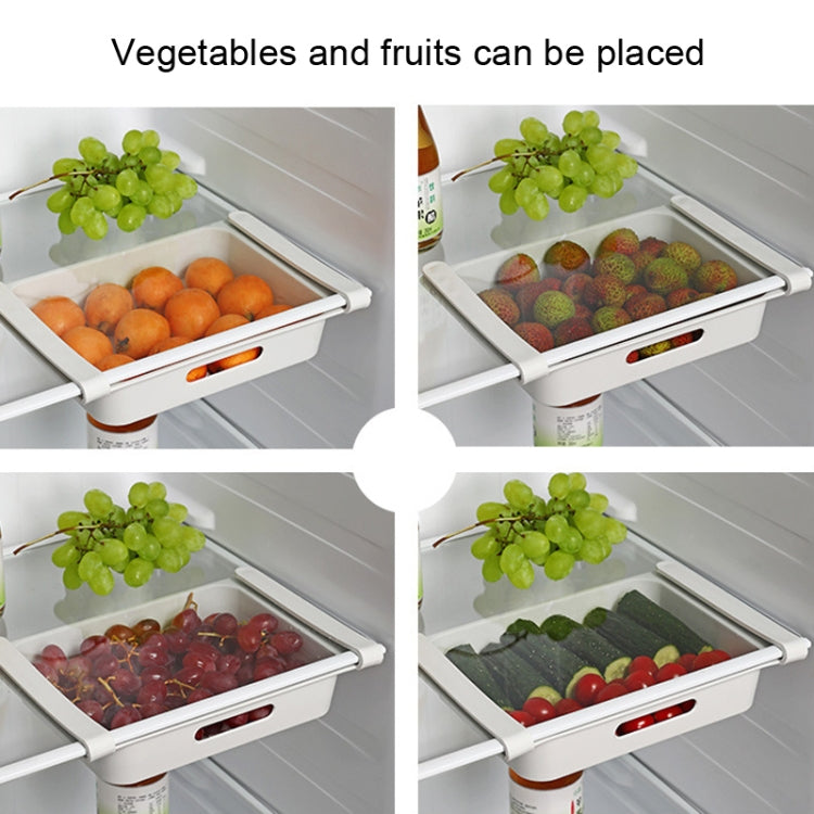 Refrigerator Drawing Egg Fruit Vegetable Storage Box(26x18x5cm) by bashfashion