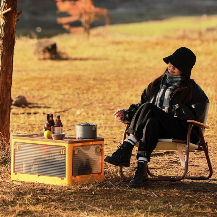 Folding Outdoor Camping BBQ Snacks Slider Storage Box, Size: Small(Yellow) by bashfashion