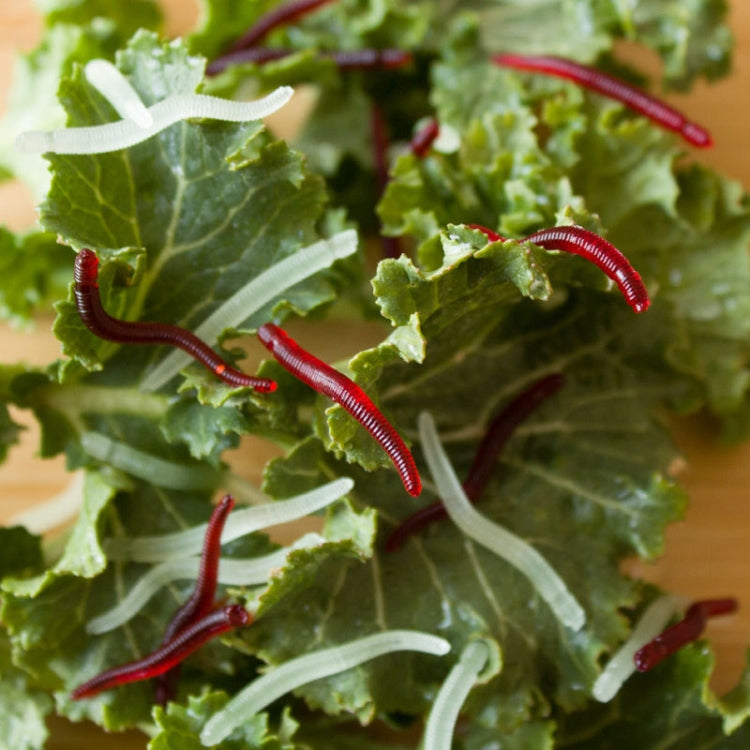 5bags 20pcs/bag 3.5cm Fishy Red Earthworm Fake Bait Luminous Fish Lure(Luminous Color) by bashfashion