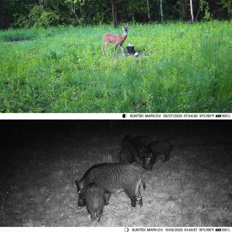 Suntek HC-801A 2.7K Outdoor Tracking Camera Infrared Night Vision Monitoring Camera by Suntek