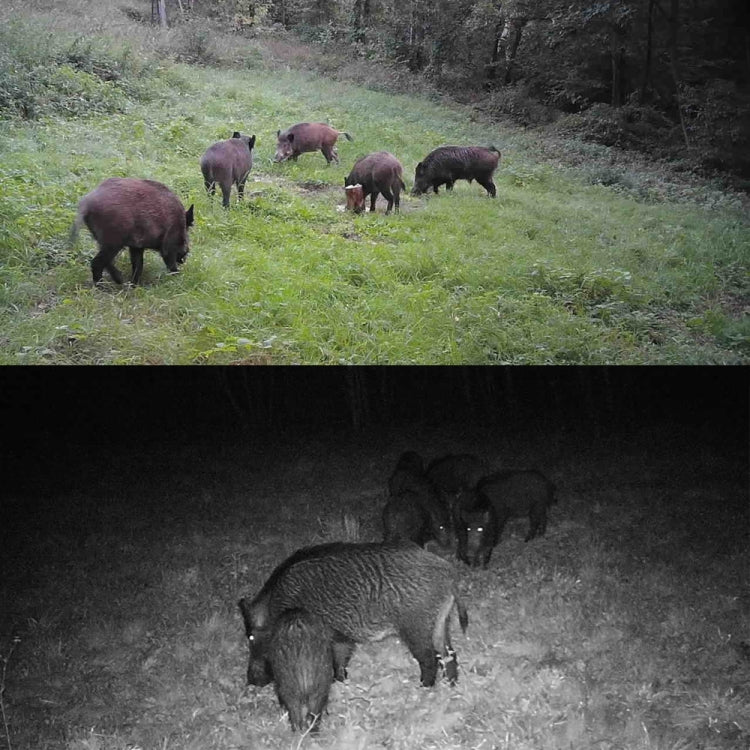 HC-802A 24MP 2.7K Outdoor Track Camera Infrastructure Monitoring Hound Camera by bashfashion